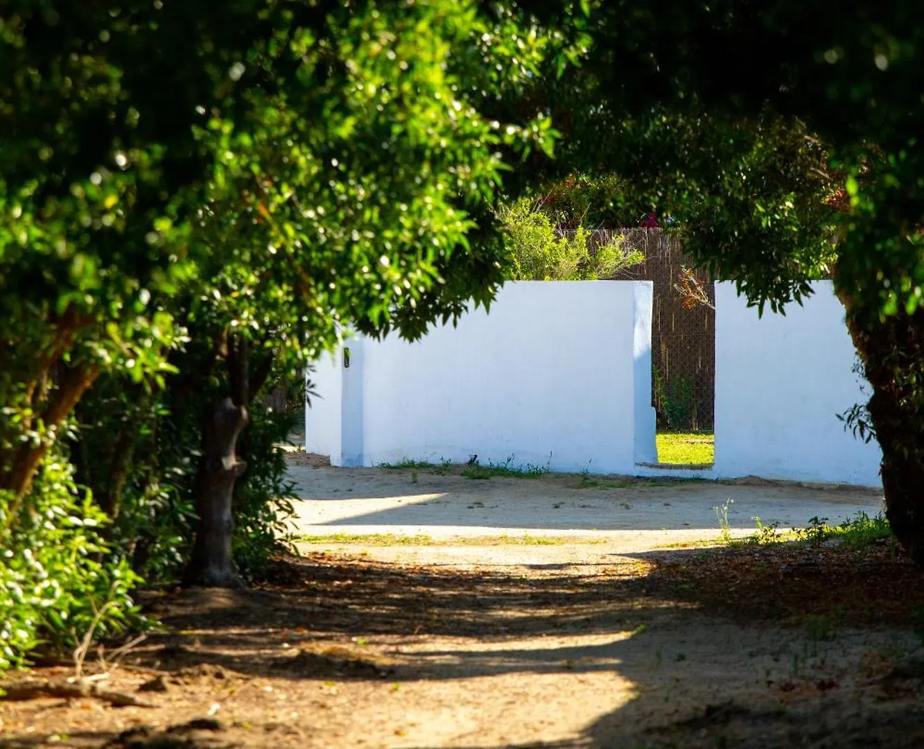 Country house Casara Seis O Casara Siete - Tu Casa A 100M De La Playa De Zahora Guest House Spain
